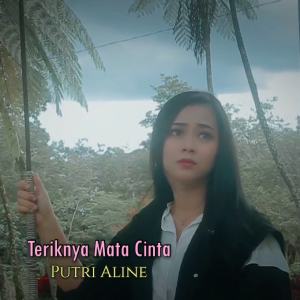 Putri Aline的专辑Teriknya Mata Cinta