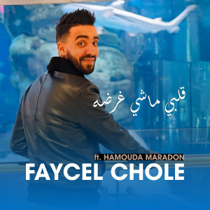 Album Galbi Machi Ghardah from Cheb Faycel Chole