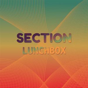 收聽Tord Kner的Section Lunchbox歌詞歌曲