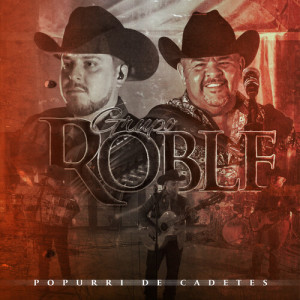 ดาวน์โหลดและฟังเพลง Popurri de Cadetes (En Vivo) พร้อมเนื้อเพลงจาก Grupo Roble