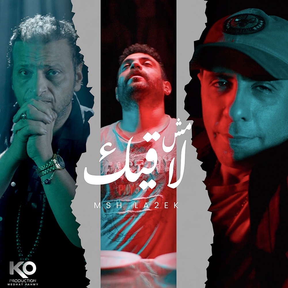 مش لاقيك