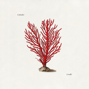 ดาวน์โหลดและฟังเพลง Non Ti Prendo La Mano พร้อมเนื้อเพลงจาก Colombre