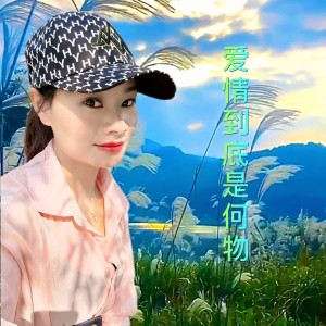 Listen to 爱情到底是何物 (完整版) song with lyrics from 姚元军