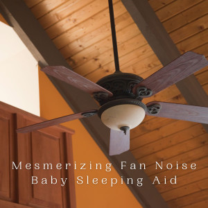 Mesmerizing Fan Noise Baby Sleeping Aid dari Lullaby Einstein