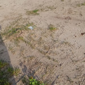 ดาวน์โหลดและฟังเพลง Drown (Explicit) พร้อมเนื้อเพลงจาก Jimie2x