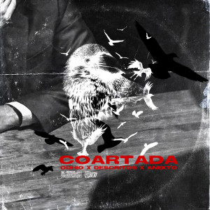 收聽SINTRANKASSBEAT的COARTADA歌詞歌曲