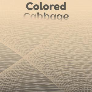 Listen to Day Clich song with lyrics from Cida Canko