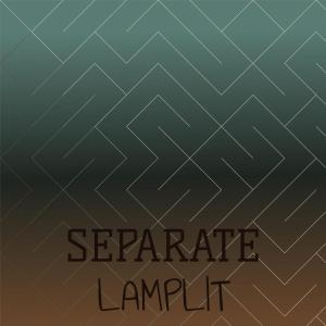 Dengarkan Separate Lamplit lagu dari Jell Shart dengan lirik