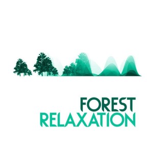 ดาวน์โหลดและฟังเพลง Water Changes พร้อมเนื้อเพลงจาก Natural Forest Sounds