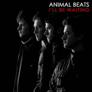 Listen to I'll Be Waiting song with lyrics from Animal Beats