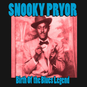 ดาวน์โหลดและฟังเพลง Why Should I Worry? พร้อมเนื้อเพลงจาก Snooky Pryor