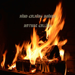 ดาวน์โหลดและฟังเพลง Mind Calming Noises พร้อมเนื้อเพลงจาก 네이쳐콜링