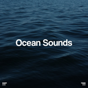 Album !!!" Ocean Sounds "!!! from Ocean Sounds