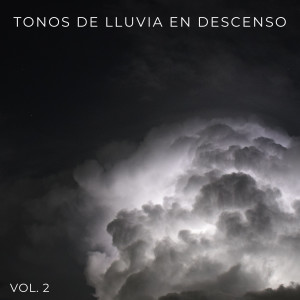 Album Tonos De Lluvia En Descenso Vol. 2 from Lluvia Relajante