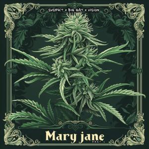收聽Suspect的Mary Jane, Pt. 2 (Explicit)歌詞歌曲