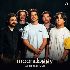 default album img