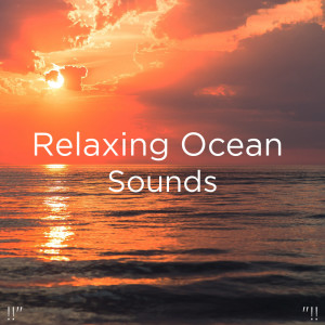 ดาวน์โหลดและฟังเพลง 睡眠のための海の音 พร้อมเนื้อเพลงจาก Ocean Sounds