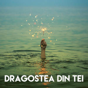 CDM Project的專輯Dragostea Din Tei