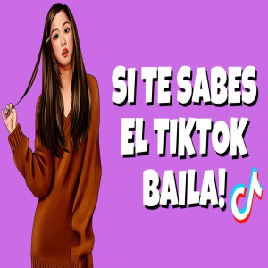 收听Dj viral tiktok的Si te sabes el TikTok baila歌词歌曲