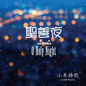 Listen to 這位奇妙嬰孩是誰 song with lyrics from 小羊诗歌