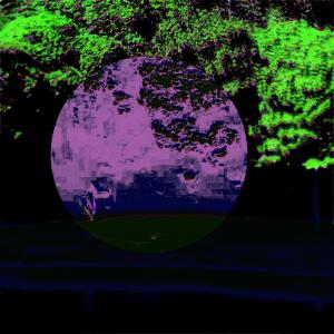 Verjault的專輯Cottagecore for the damned