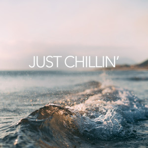 Various Artists的專輯Just Chillin'