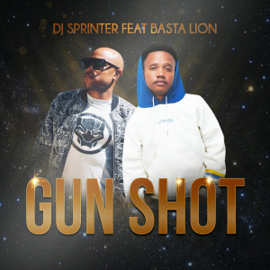 Listen to Gun Shot song with lyrics from DJ SprinTer