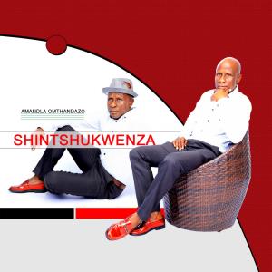 ดาวน์โหลดและฟังเพลง NIYEJABULA YINI(feat. Thandoluni Phungula) พร้อมเนื้อเพลงจาก SHINTSHUKWENZA