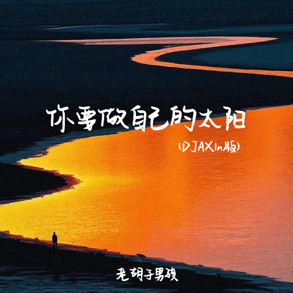 你要做自己的太阳 (DJAX1n版)