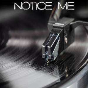 Vox Freaks的專輯Notice Me (Originally Performed by Tamar Braxton) [Instrumental]