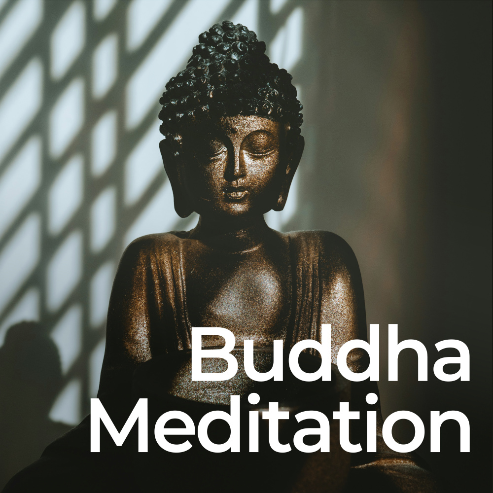 Buddha's Tranquil Journey