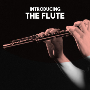 Symphony Orchestra Bratislava的專輯Introducing: The Flute