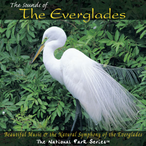 Various的专辑The Sounds of the Everglades