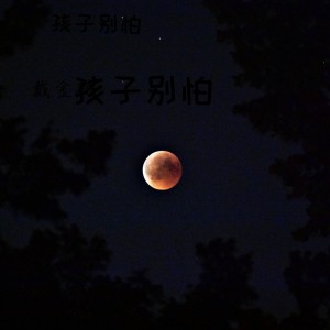 Listen to 孩子别怕 song with lyrics from 戴金艳