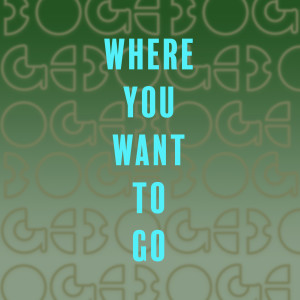 收聽Boge的Where You Want to Go歌詞歌曲