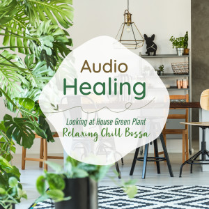 Relaxing BGM Project的专辑Audio Healing Looking at House Green Plant -Relaxing Chill Bossa-