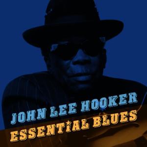 ดาวน์โหลดและฟังเพลง Turnin' Gray Blues พร้อมเนื้อเพลงจาก John Lee Hooker