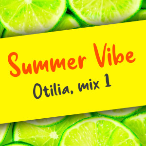 Listen to Sleepless Nights (Baga Banini Remix) song with lyrics from Otilia