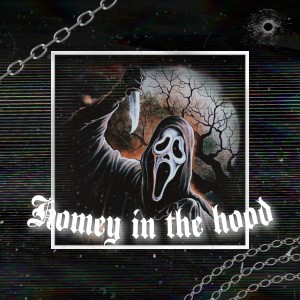 收听zrxcv的Homey in the hood (Slowed)歌词歌曲
