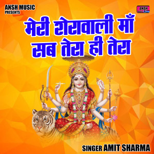 Listen to Meri Sherawali Maa Sub Tera Hi Tera (Hindi) song with lyrics from Amit Sharma