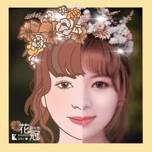 Dengarkan lagu Corolla Mandarin Version (语言版) nyanyian 苏俏慧 dengan lirik