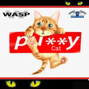 ดาวน์โหลดและฟังเพลง Pussy Cat (Radio Edit) พร้อมเนื้อเพลงจาก Wasp