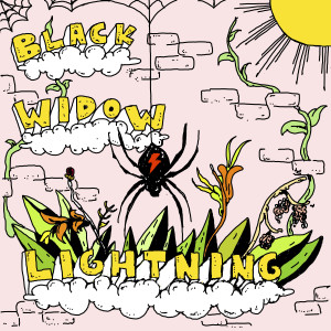 收聽Derek Ted的BLACK WIDOW LIGHTNING歌詞歌曲