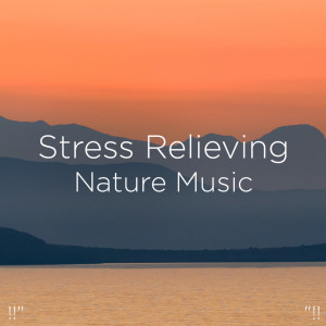 Listen to Relaxing Music Stress Relief song with lyrics from Yoga