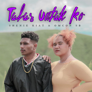 Album Tulus Untuk Ko from 