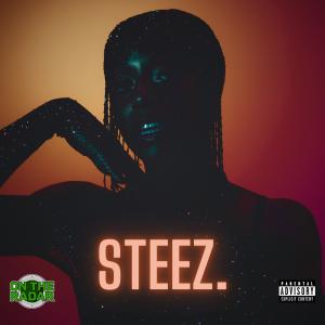 อัลบัม STEEZ. (Explicit) ศิลปิน Dyna Edyne