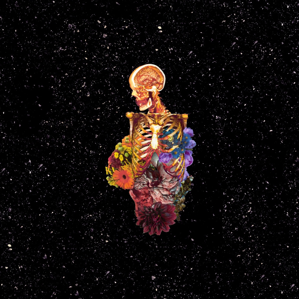Bleed (Explicit)