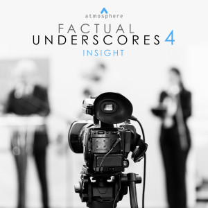 Album Factual Underscores 4: Insight from David Stephen Goldsmith