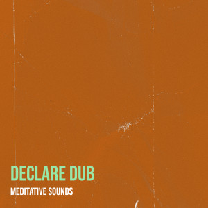 Album Declare Dub from Meditative Sounds