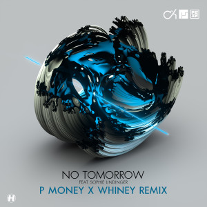 Sophie Lindinger的專輯No Tomorrow (P Money X Whiney Remix)